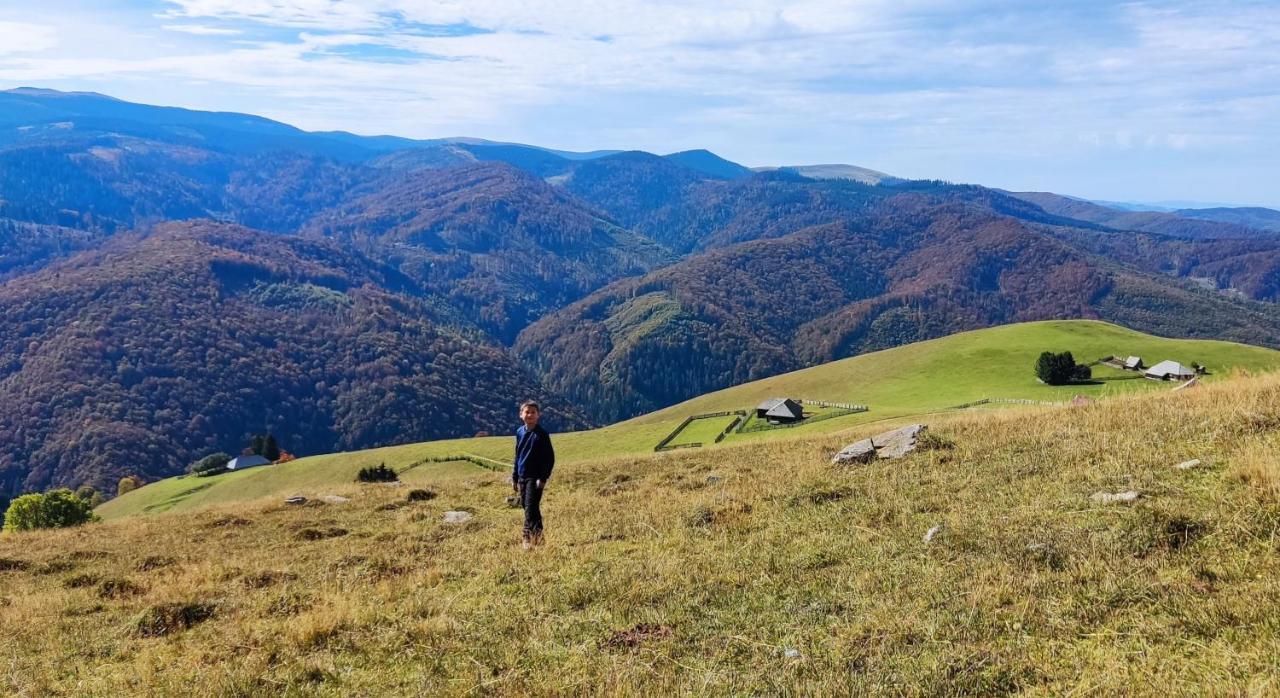 Eden Natural Resort - Transalpina Capalna Bagian luar foto