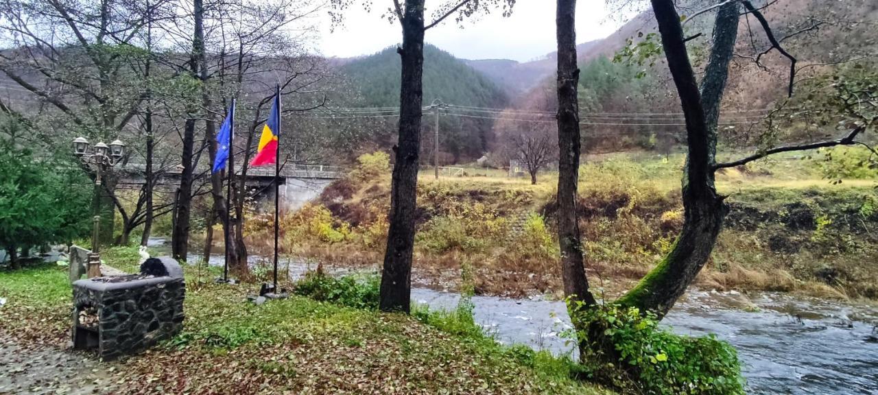 Eden Natural Resort - Transalpina Capalna Bagian luar foto