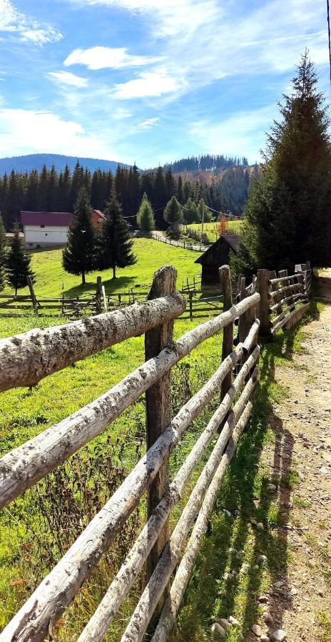 Eden Natural Resort - Transalpina Capalna Bagian luar foto