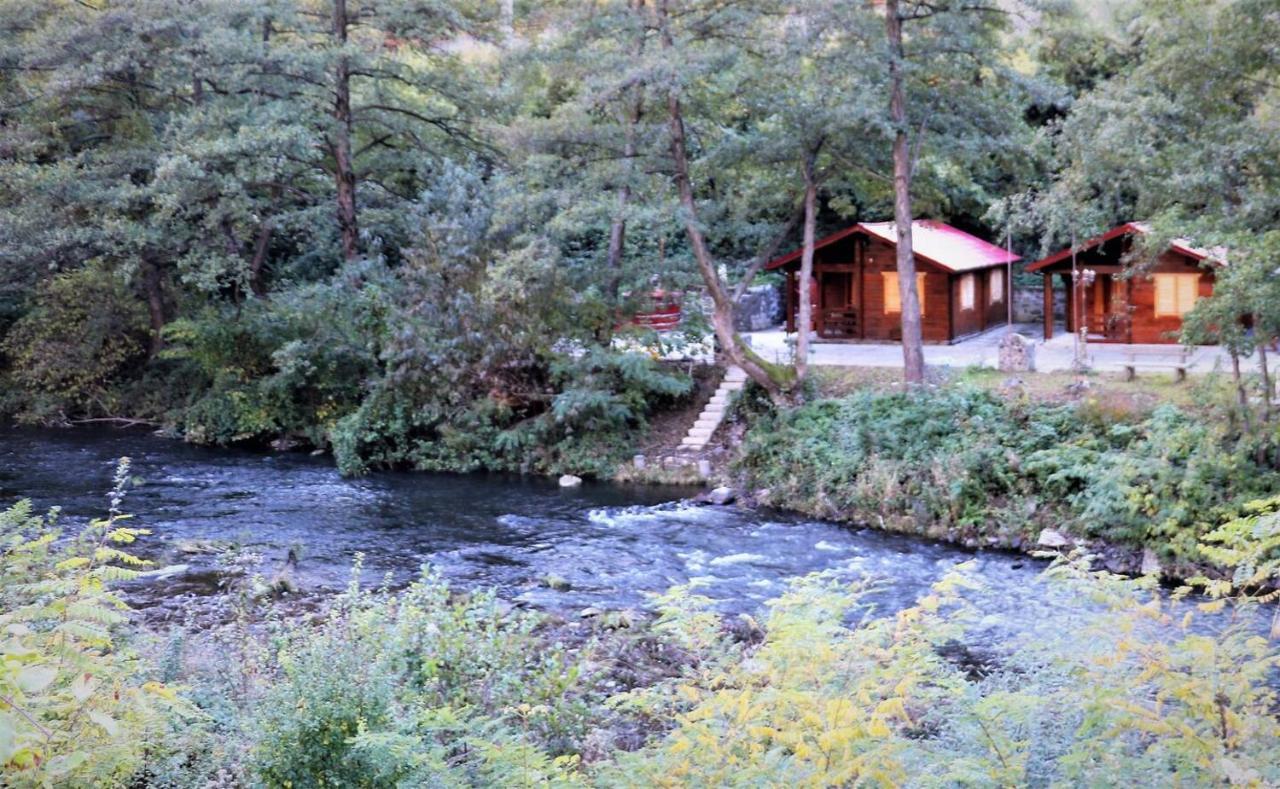 Eden Natural Resort - Transalpina Capalna Bagian luar foto