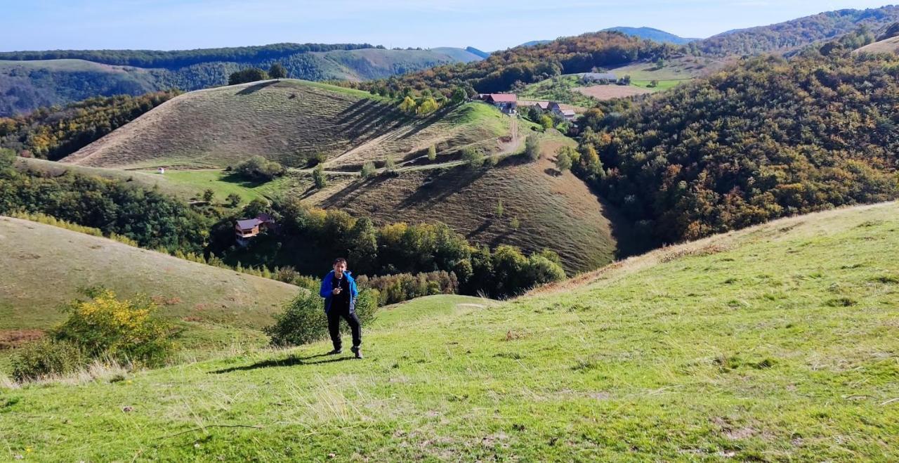 Eden Natural Resort - Transalpina Capalna Bagian luar foto