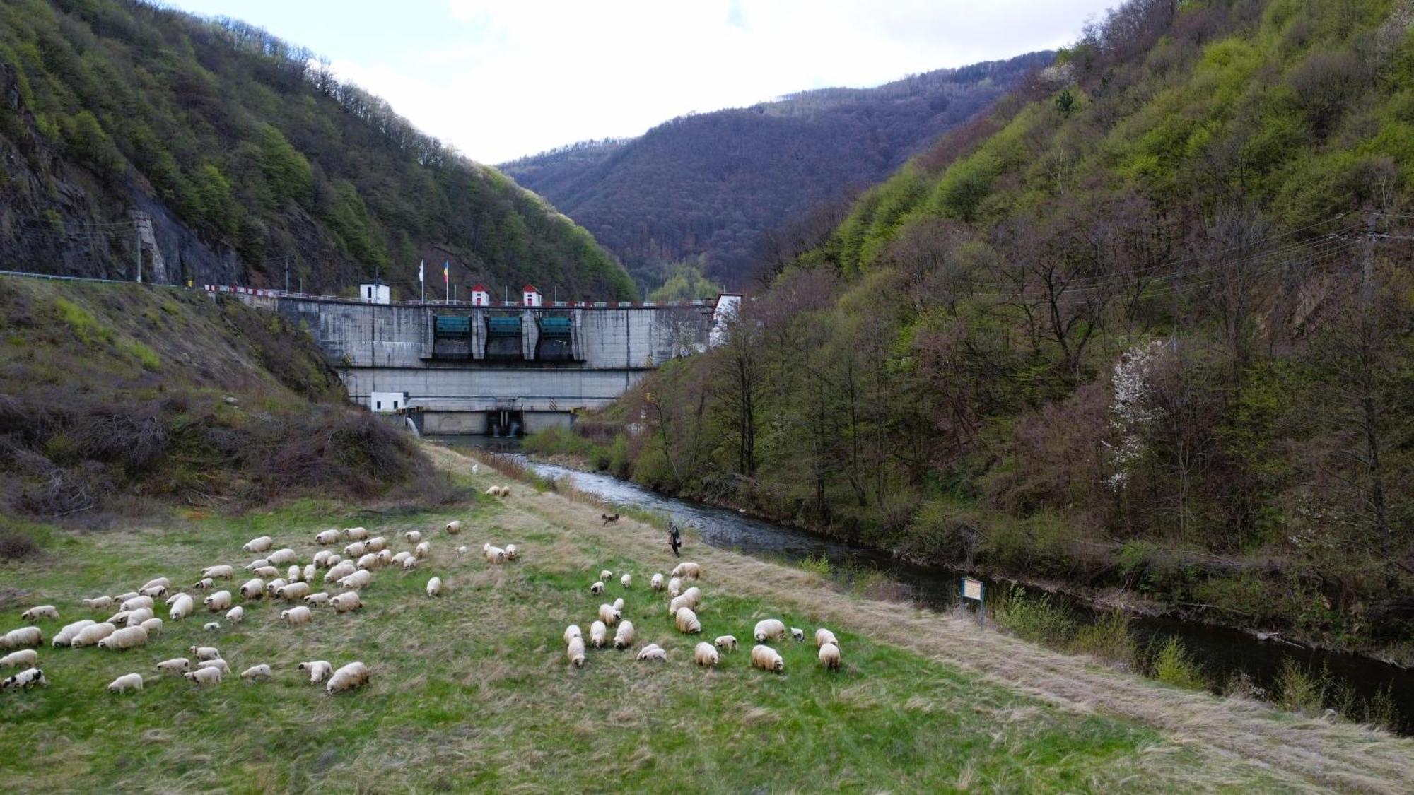 Eden Natural Resort - Transalpina Capalna Bagian luar foto